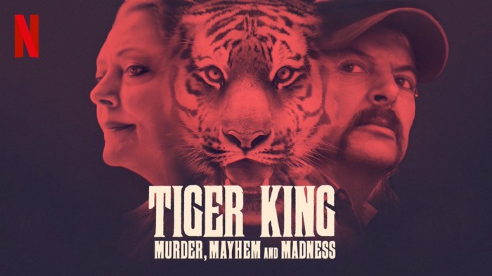 What to Watch After “Tiger King”- Recommendations