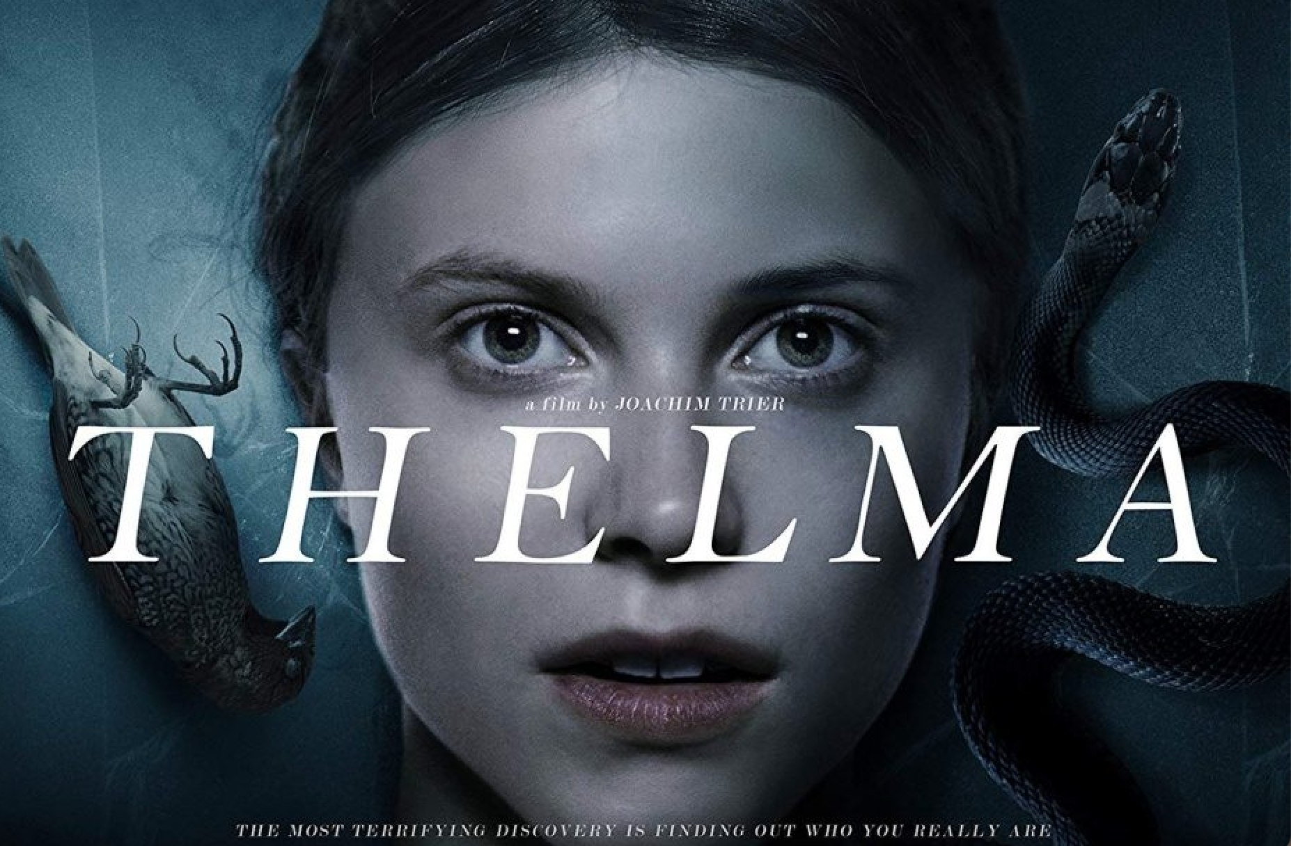 ‘Thelma’ is a Chilling, Hauntingly Beautiful Story of Discovery