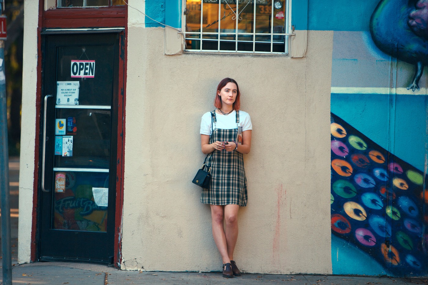 Revisiting Lady Bird – Now on Netflix