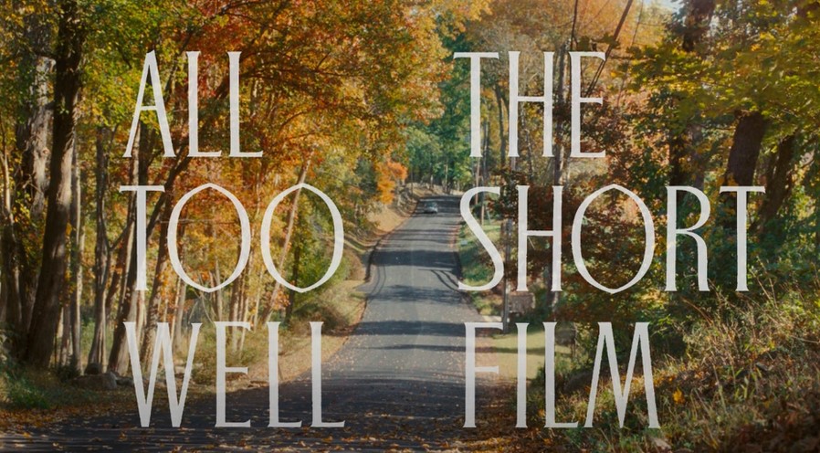 All Too Well: The Short Film and the Hysteria