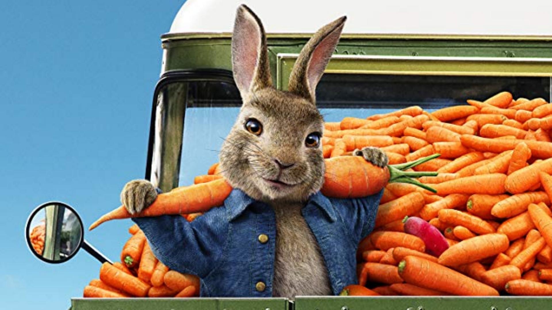 This image is the cover image for Peter Rabbit 2