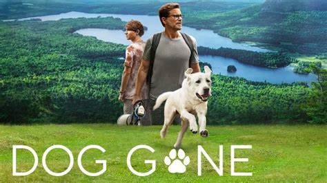 dog gone (2023) cover image