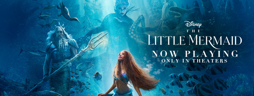 The Little Mermaid Cover Halle Bailey